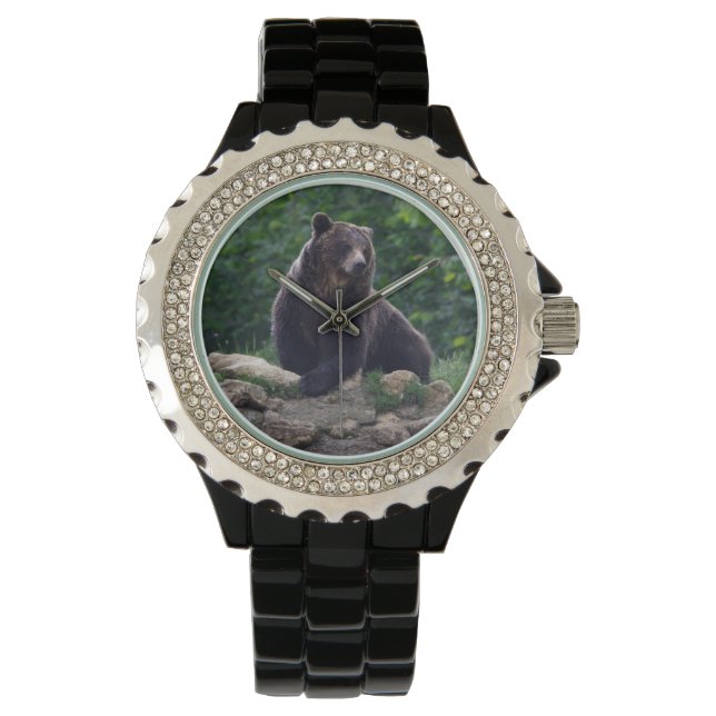 Montre ours Brown (devant)