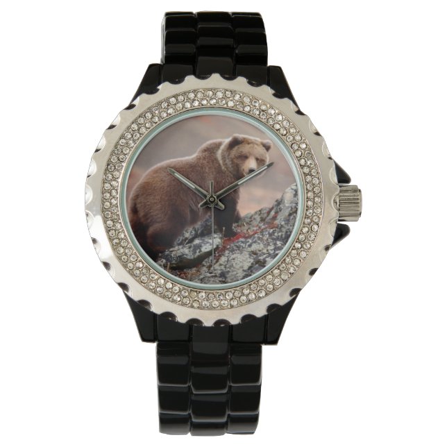 Montre Ours Brown Denali (devant)