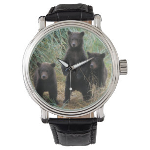 Montre ours brun, Ursus arctos, grizzly, Ursus 7 2