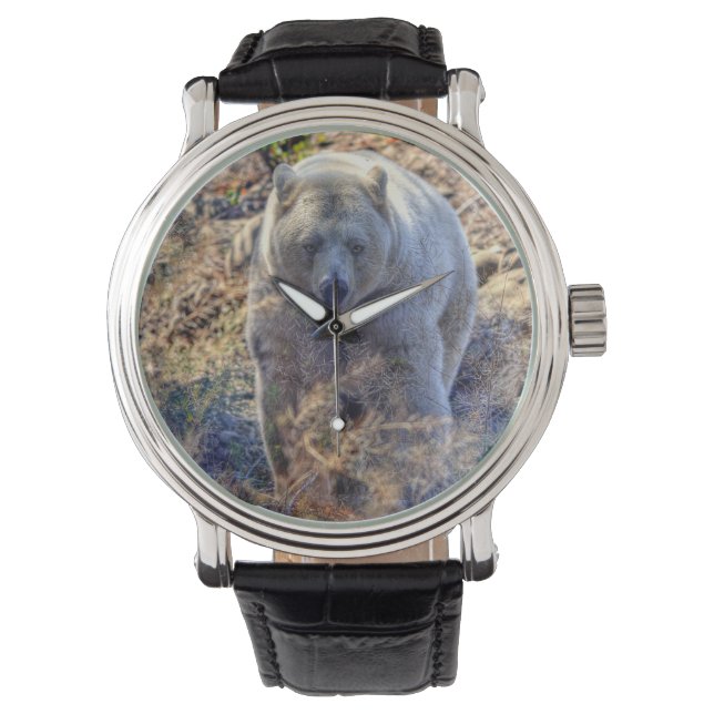 Montre Ours Kermode Rare (Ours Esprit) Photo Faune (devant)