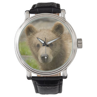Montre Ours mignon