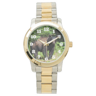 Montre Ours noir Alpha