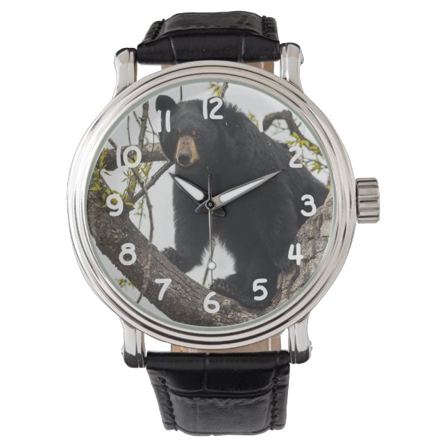 Montre Ours noir Escalade (devant)