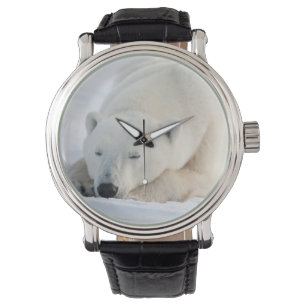 Montre Ours polaire en hiver