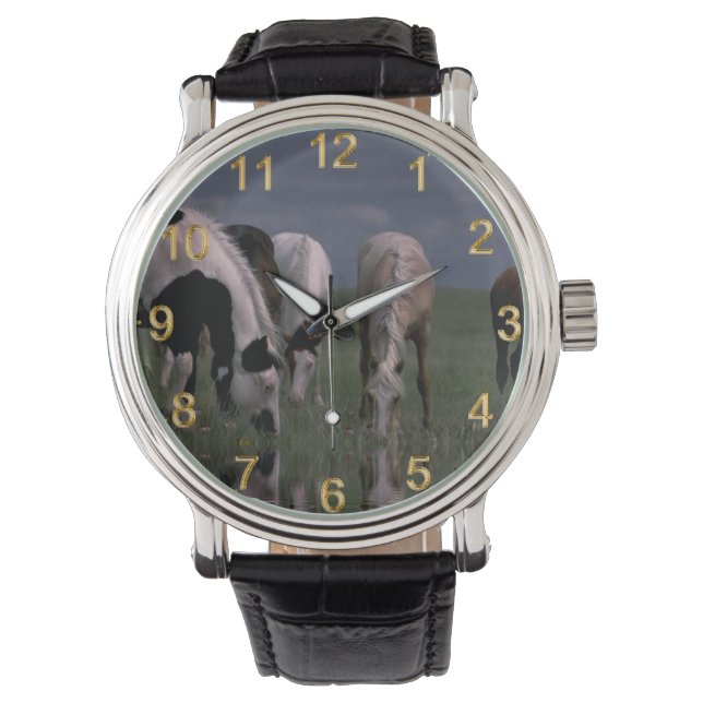 Montre Pack De Chevaux Piebald Boire, (devant)