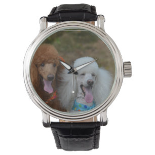Montre Paire de canicules