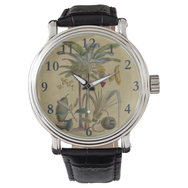 Montre Palm Antique Fruit Tropical Art Botanique (devant)