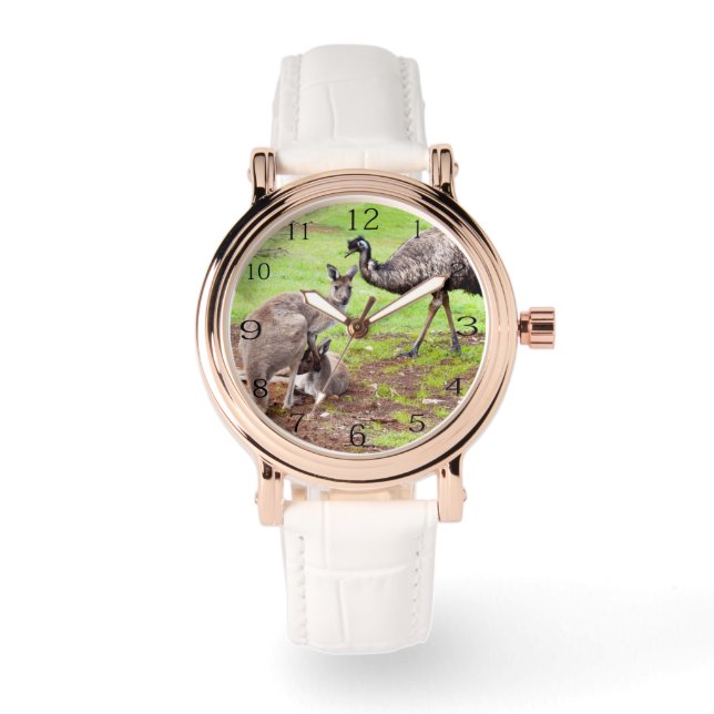 Montre Pals Peu Probables : Kangaroo Australien Et Emu, (Recto)