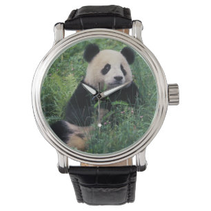 Montre Panda géant dans l'herbe, vallée de Wolong, Sichua