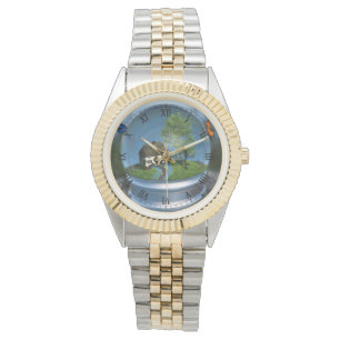 Montre papillon