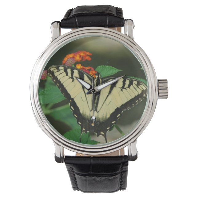 Montre papillon (devant)
