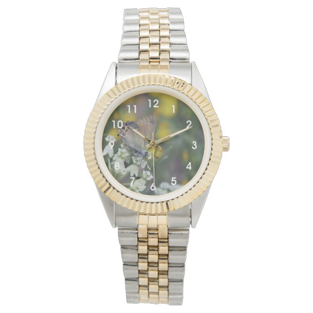 Montre Papillon skipper sur une fleur (devant)