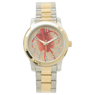 Montre Paraceraure Fossil Trilobite