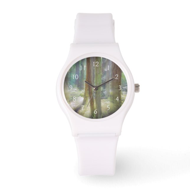 Montre Parc d'État de Scenic Beach (Recto)