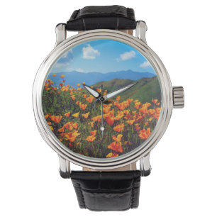 Montre Pavot californien recouvrant une colline