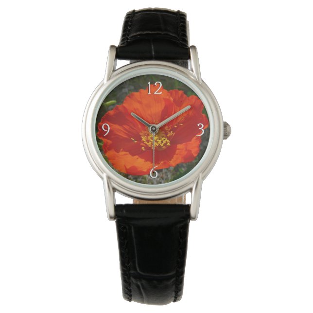 Montre Pavot rouge de l'Alaska Fleur colorée (devant)