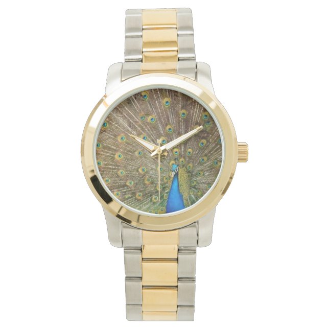 Montre Peacock, montre, à vendre ! (devant)