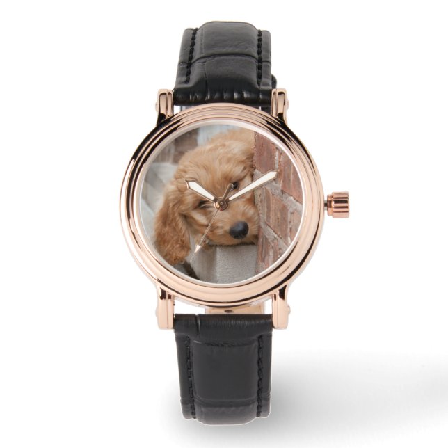 Montre Peecing de Goldendoodle (Recto)