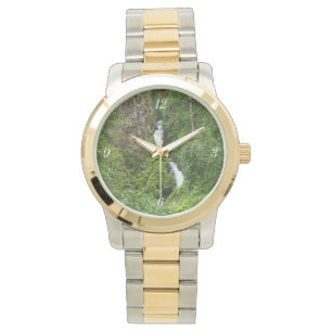 Montre Peinture de Thunderbird
