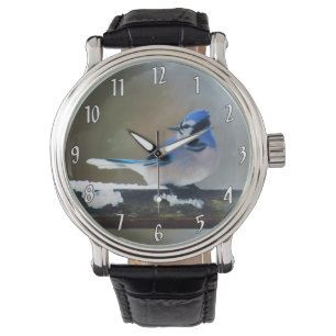 Montre Peinture Jay Bleu - Art Oiseau Original