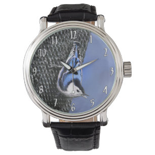 Montre Peinture Nuthatch à poitrine blanche Art original