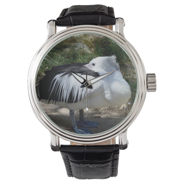 Montre Pelican Cat Napping Se Levant, (devant)