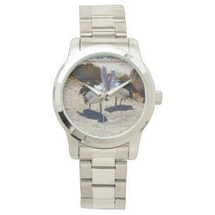 Montre Pélicans En Amour,_