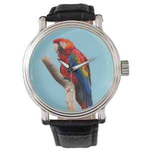 Montre Perroquet