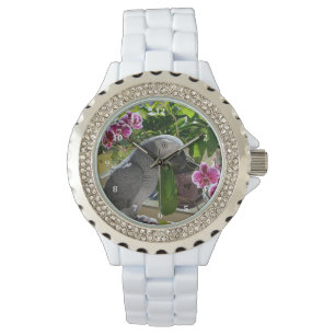 Montre Perroquet gris africain aux orchidées