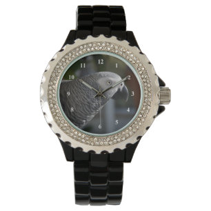 Montre Perroquet serein de gris africain