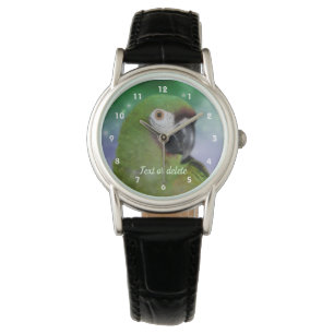 Montre Personalisé animal de perroquet de Macaw sévère