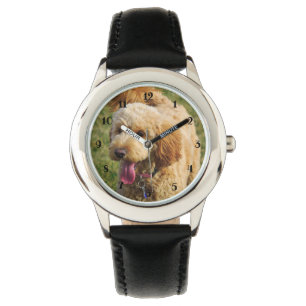 Montre Petit chien Goldendoodle