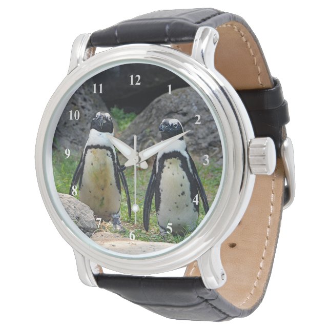 Montre Photo au pair de Wildlife Penguin (Incliné)