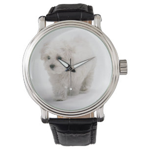 Montre Photo Bichon Frise