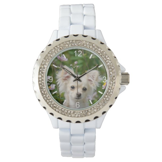 Montre Photo Chihuahua Chien Chiot - plaque d'accès pour  (devant)