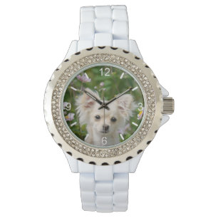 Montre Photo de Chihuahua Chippie de Cute - plaque d'appe
