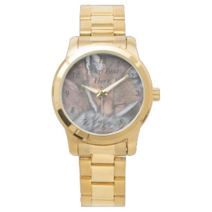 Montre photo de la faune en sommeil du renard rouge migno