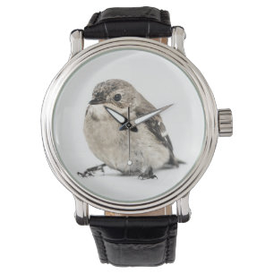 Montre Photo de petit oiseau mignon du jardin