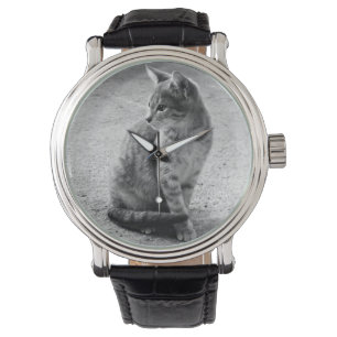 Montre photo Kitten
