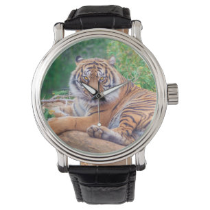 Montre Photographie époustouflante de tigre couché