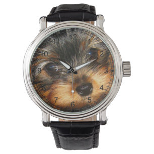 Montre Piaulement Yorkie