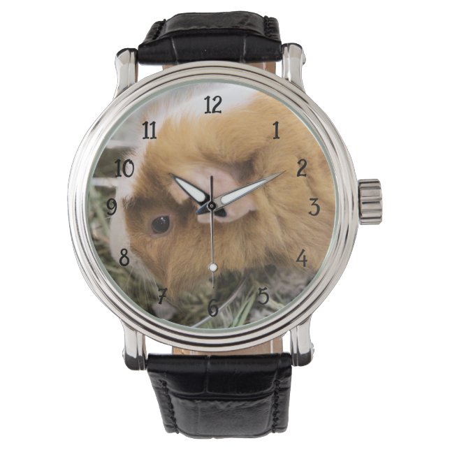 Montre Piggy (devant)