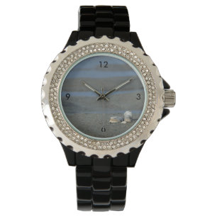 Montre Pile de coquillage