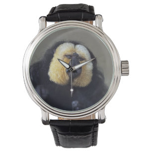 Montre Pithecia pithecia