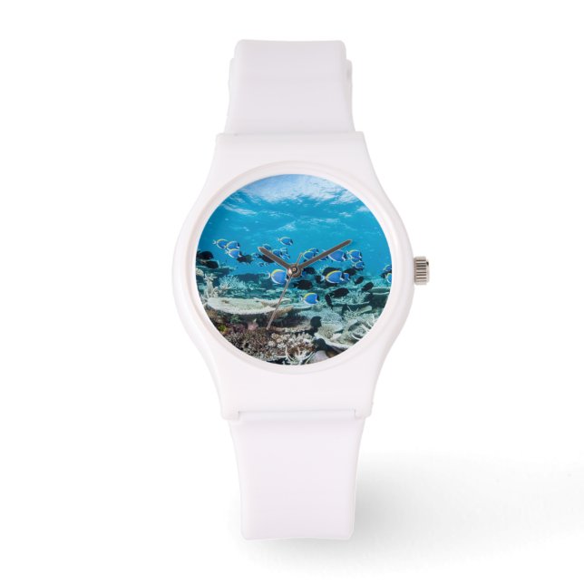 Montre Plages tropicales | Esturgeon Parmi le corail (Recto)