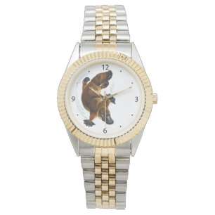 Montre platype
