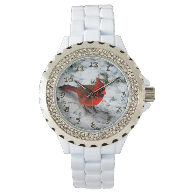 Montre Plumes cardinales rouges et plumage (devant)