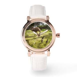 Montre Plumes et pas de pas : Un Père Emu avec des pousse
