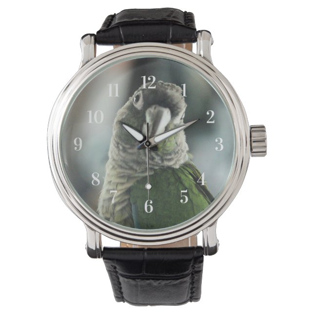 Montre Plus de faux hérisson (devant)