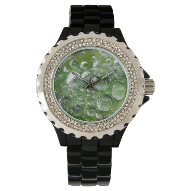 Montre Poignée à eau (devant)